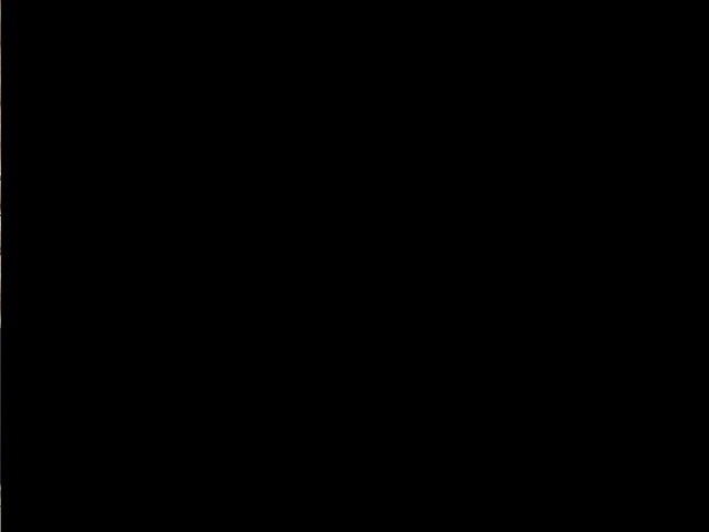IMG 0519
