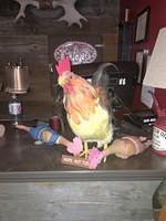IMG 2040