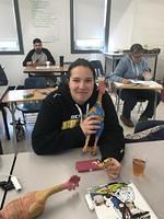 IMG 3502
