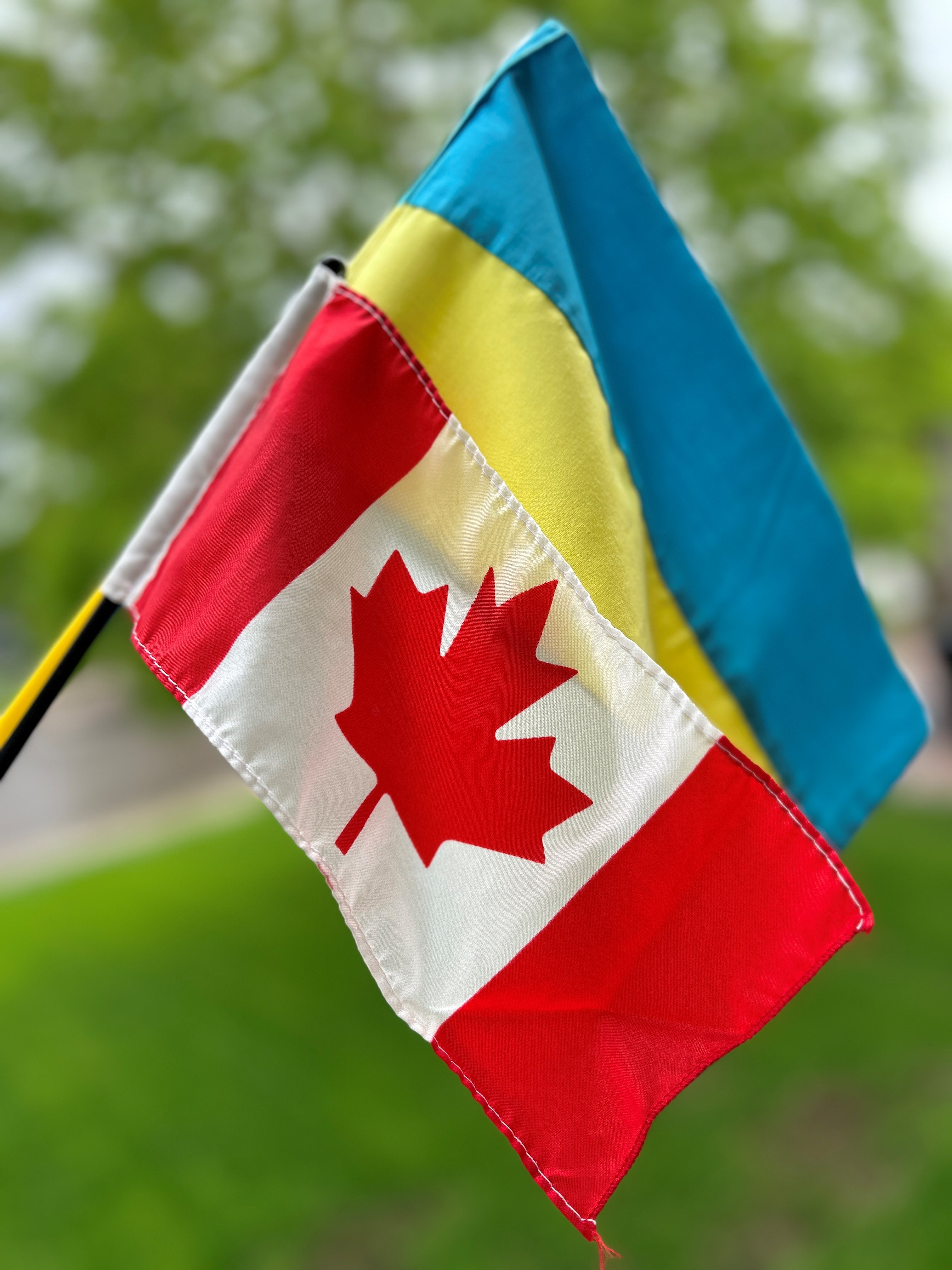 Ukrainian Flag